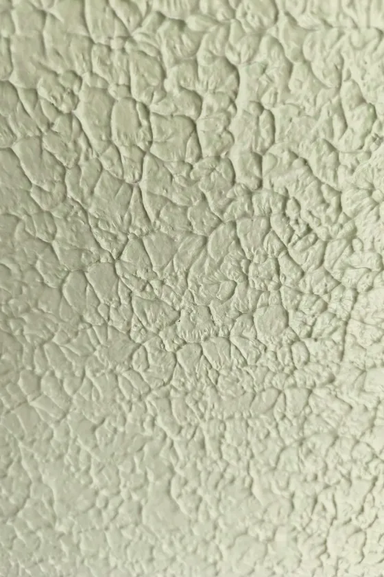 Carraplast Verde Salvia