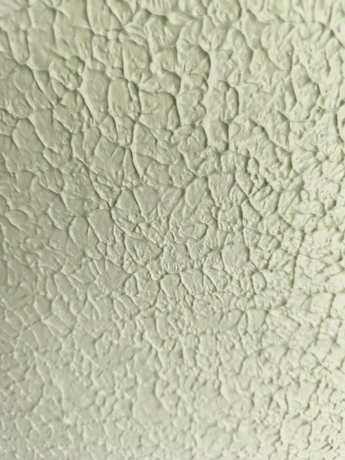 Carraplast Verde Salvia — Pinto Kolors, Carraplast disponible en Soacha