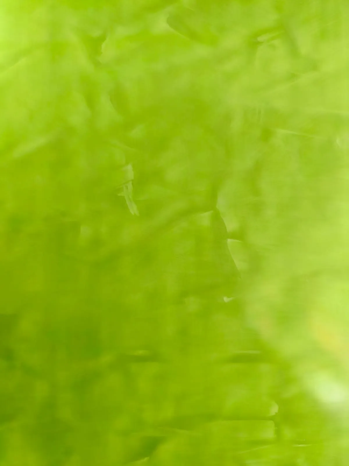 Veneciano Verde Lima — Pinto Kolors, Venecianos disponible en Soacha