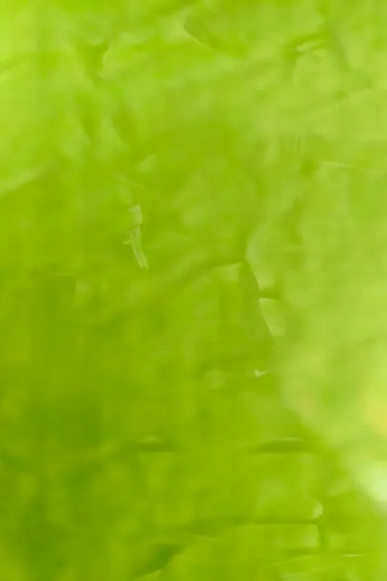Veneciano Verde Lima